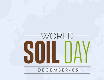 World Soil Day : Sowing the Seeds of Sustainability decoding=