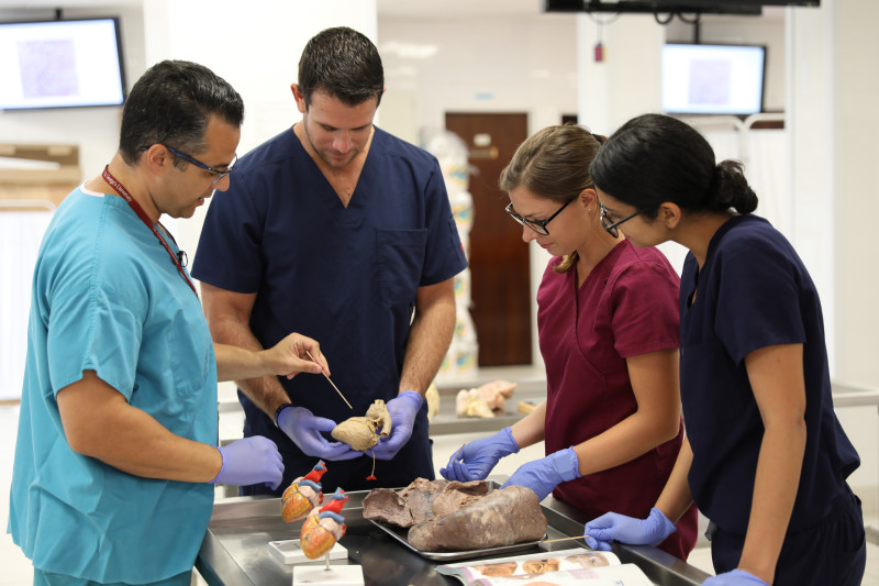 How St. George’s University is Helping Indian Students Address Global Doctor Shortage decoding=