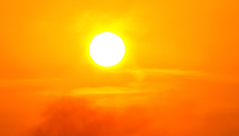 Jaipur Scorches at 42°C as Heatwave Continues; Green Nets Provide Relief at Traffic Signals decoding=