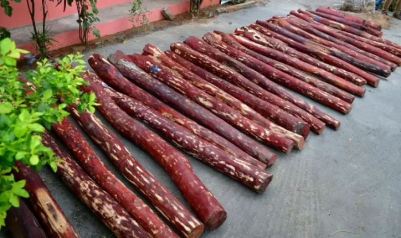 National Biodiversity Authority Disburses ₹45 Lakh to Red Sanders Farmers, Boosting Dual Income and Sustainable Use decoding=