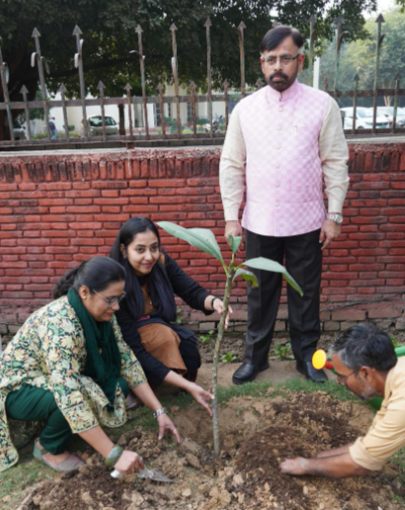 JMI organizes Special Plantation Drive