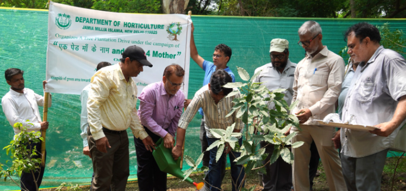 jmi-starts-plantation-drive-under-ek-ped-maan-ke-naam-campaign