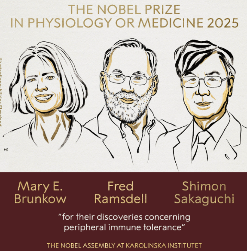 mary-e-brunkow-fred-ramsdell-and-shimon-sakaguchi-win-nobel-for-pioneering-work-on-immune-regulation