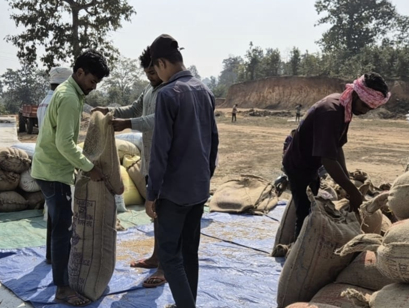 Raipur: 5,090 Quintals of Paddy Procured So Far in Mohla–Manpur–Ambagarh Chowki District