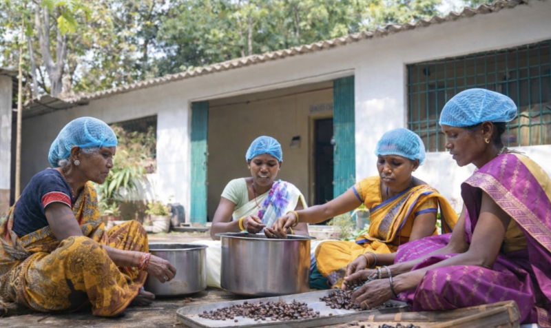 jashpurs-panchakki-van-dhan-centre-turns-forest-produce-into-23-lakh-annual-shg-income