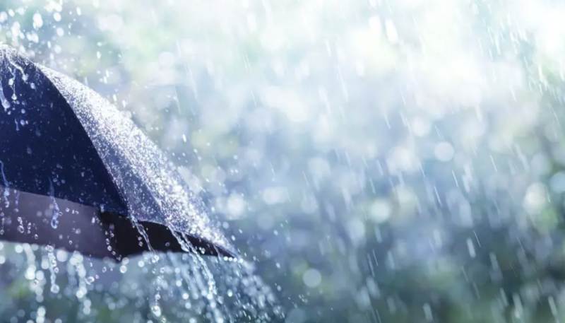 IMD Warns of Heavy Rain, Thunderstorms Across Multiple States; Alerts for Northeast, Rajasthan, MP and South India decoding=