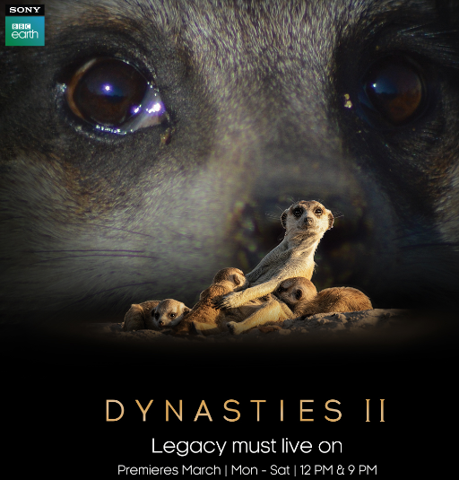 Feel Alive with Sony BBC Earth: A Year of Unforgettable Premieres and Inspiring Narratives decoding=