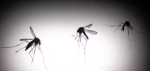 fortis-healthcare-and-takeda-india-launch-mission-dengue-free-india-to-strengthen-community-awareness-and-prevention