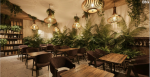 ebg-group-bets-on-indias-experiential-dining-boom-with-tarzan-jungle-cafe-targets-100-locations-nationwide
