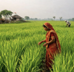 rajasthan-to-hold-nationwide-roadshows-for-gram-2026-ahead-of-global-agritech-meet-in-jaipur