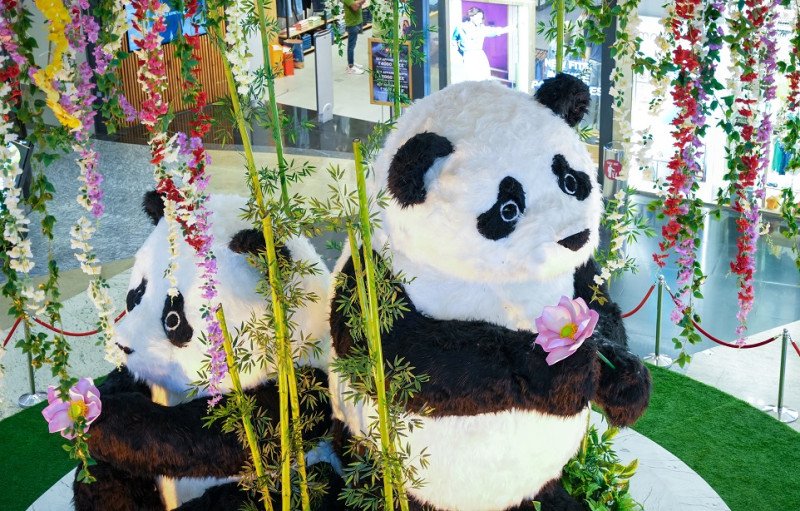 Phoenix Marketcity, Pune Unveils Exclusive Spring Décor: Panda World by Renowned Belgian Artist, Tomas De Bruyne decoding=