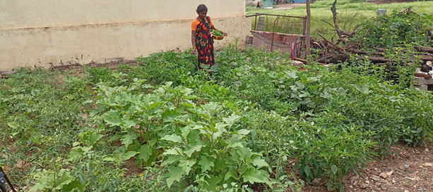 acc-empowers-rural-women-in-karnataka-through-kitchen-garden-intervention-program
