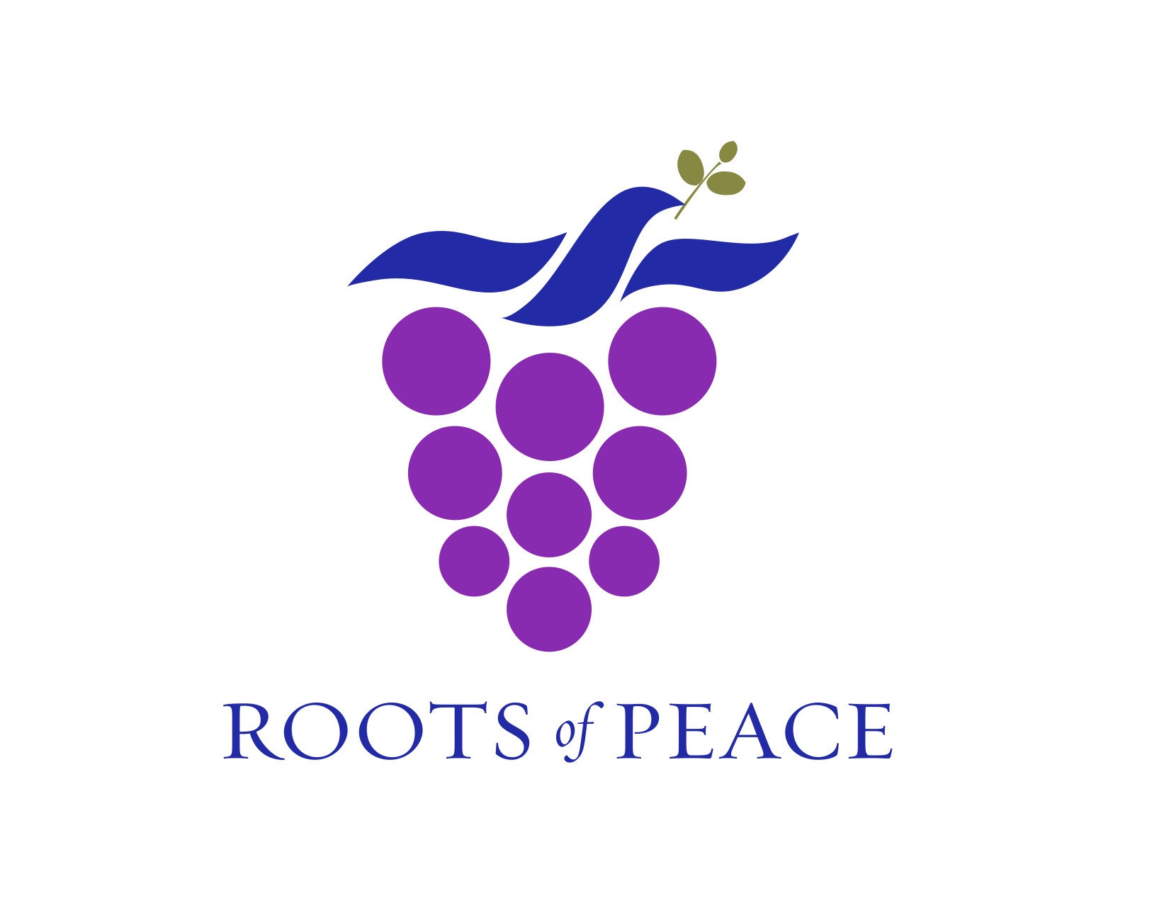 gandhi-150th-birthday-award-presented-to-heidi-kuhn-founder-ceo-roots-of-peace