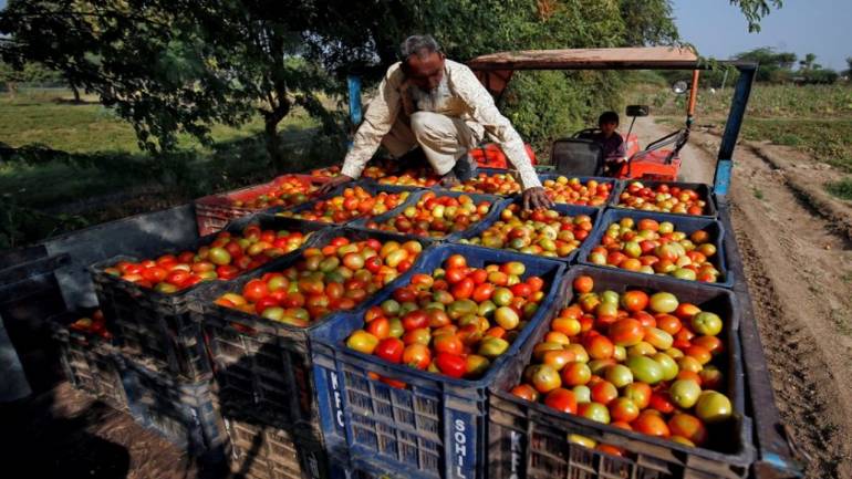 Union Government reviews of price and availability situation of Tomatoes across the nation decoding=