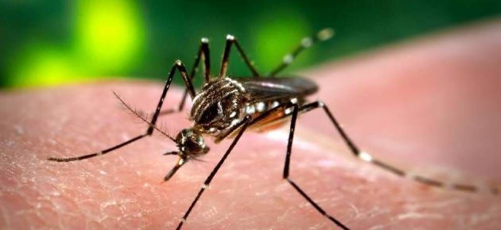 Dengue cases cross 21,000, Opposition calls for declaration of Public Health Emergency decoding=