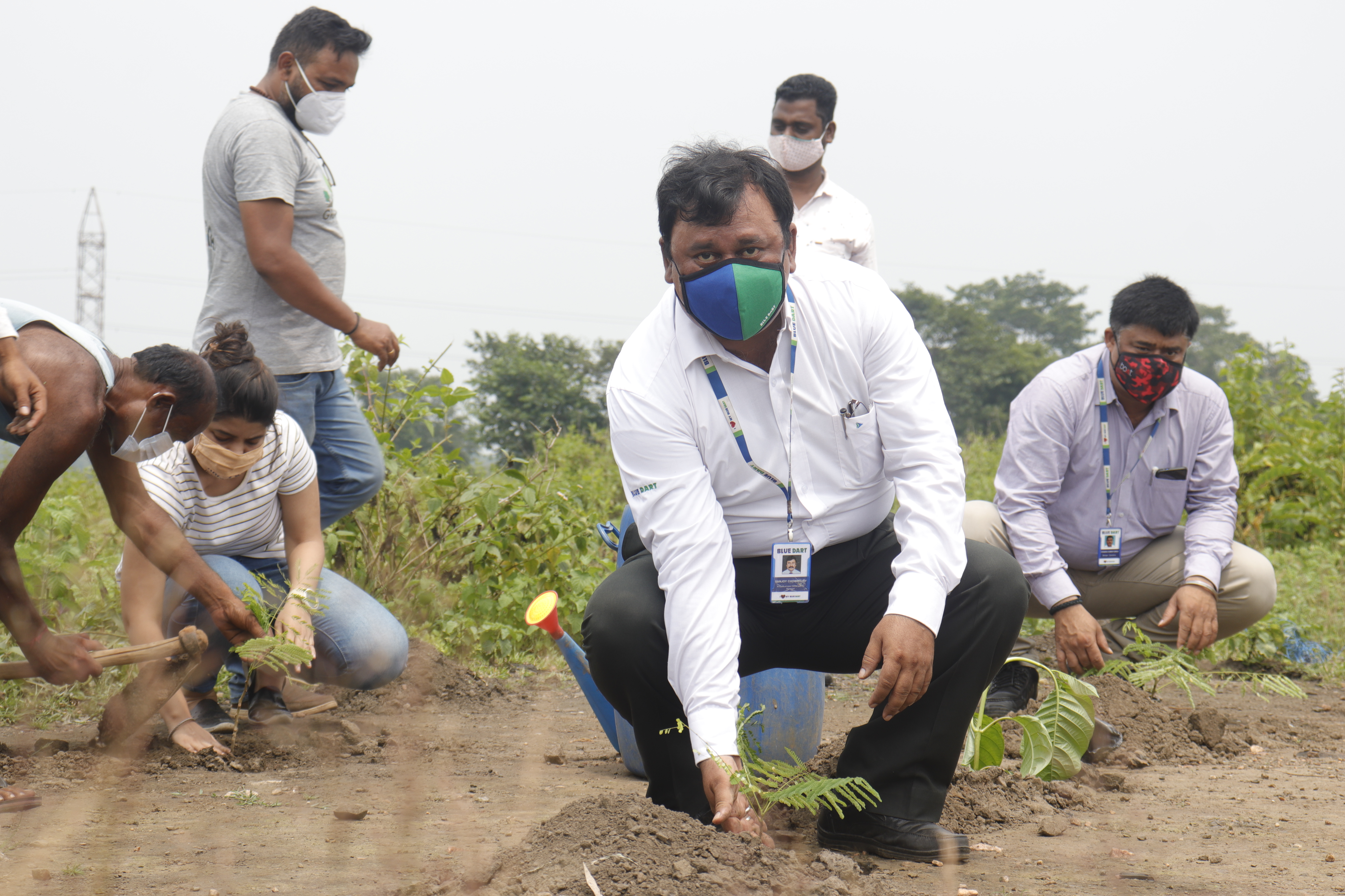 Blue Dart plants over 1,00,000 trees for Elephants in Dalma Wildlife Sanctuary in Jharkhand on World Elephant Day decoding=