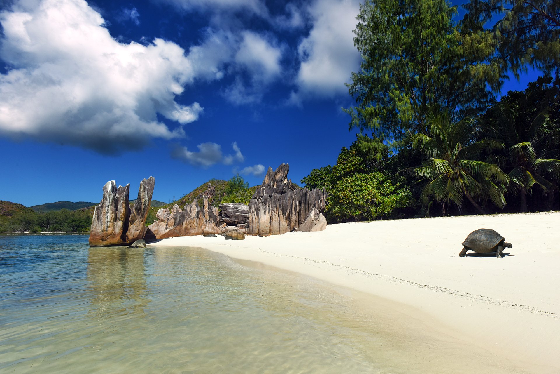 ultimate-family-holiday-in-the-seychelles