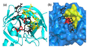 dst-serb-supports-study-for-identification-of-structure-based-potential-antivirals-against-covid-19