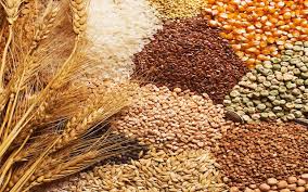 total-33-40-lmt-food-grains-picked-up-by-the-states-uts-till-now