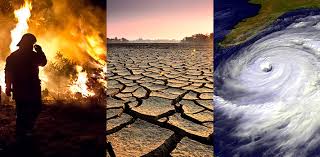 studies-on-impact-of-climate-change