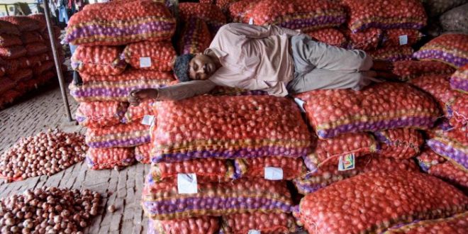 hike-in-onion-prices-temporary-govt