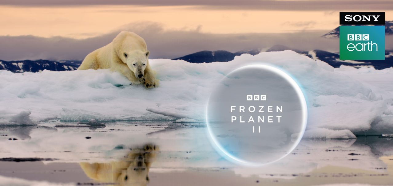 Sony BBC Earth to premiere Frozen Planet II narrated by Sir David Attenborough decoding=