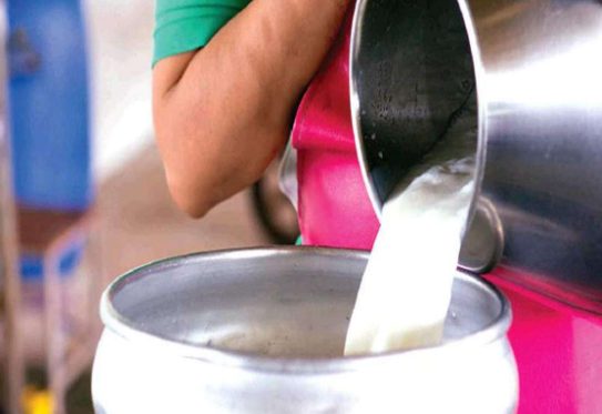 Important News: Milk Price hike by 12 per liter from First March decoding=
