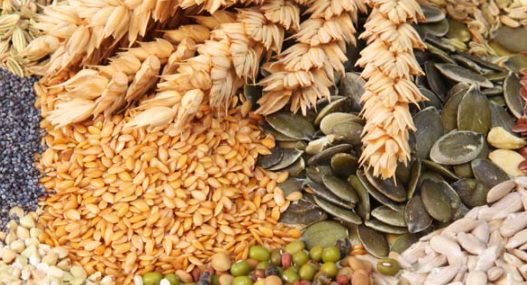 Cereals exports grew by close to 53% to Rs 49,832 crore in Apr – Dec 2020-21 decoding=