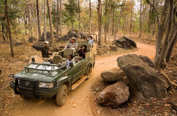 explore-the-wild-side-with-taj-safaris