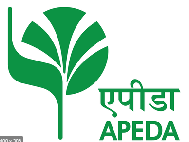 APEDA organizes VBSM with FPOs of APDMP and Millet Exporters to promote Millet products decoding=