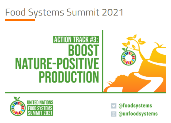 UN Food Systems Summit 2021 decoding=