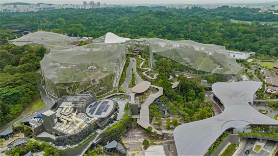 Bird Paradise set to open in Singapore, adds to growing list of attractions for visitors decoding=