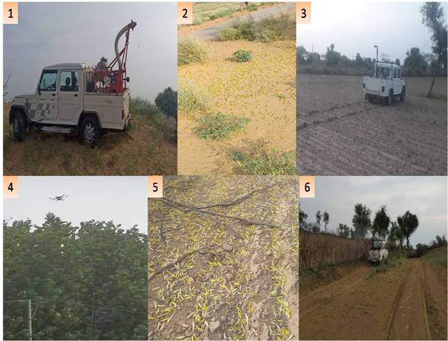 Locust control operations carried out in more than 3.70 lakh hectares decoding=