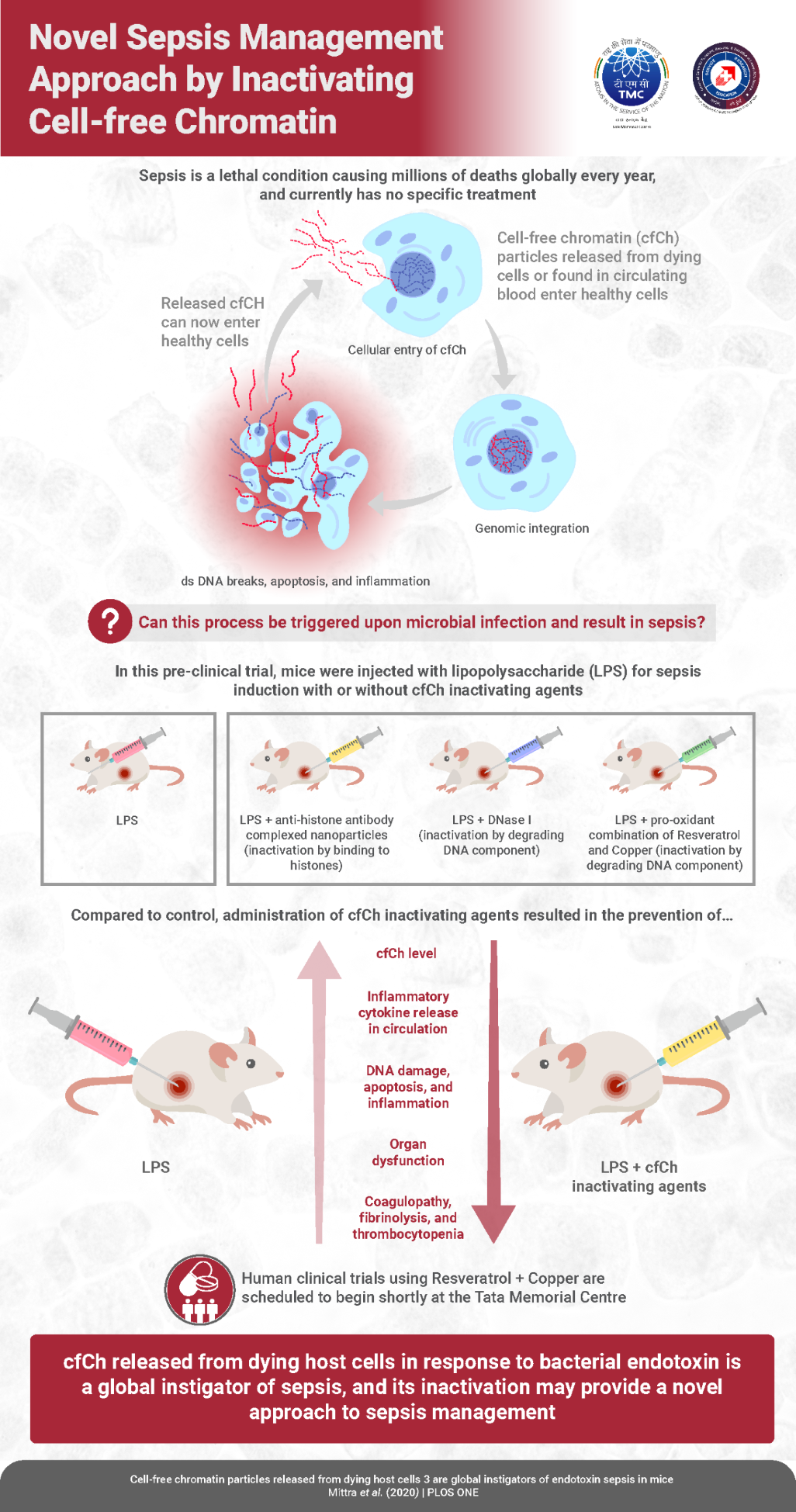 Destroying DNA to Save the Genome—Study Offers New Insights into Sepsis and its Treatment decoding=