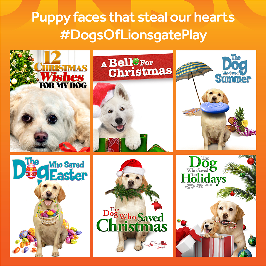 Celebrating International Dog Day, Lionsgate Play launches #DogsofLionsgatePlay campaign decoding=