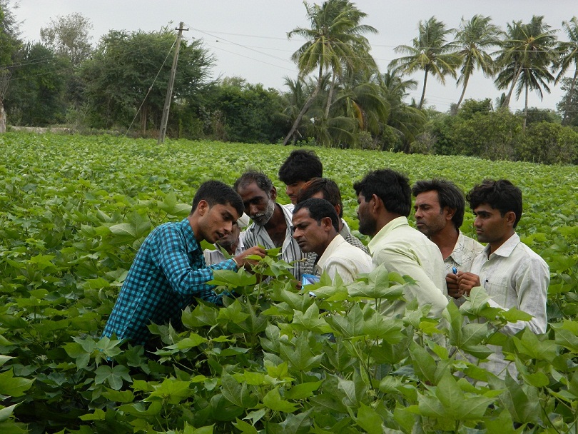 adaptation-of-scientific-agriculture-practices-will-drive-global-demand-towards-indian-cotton-farmer