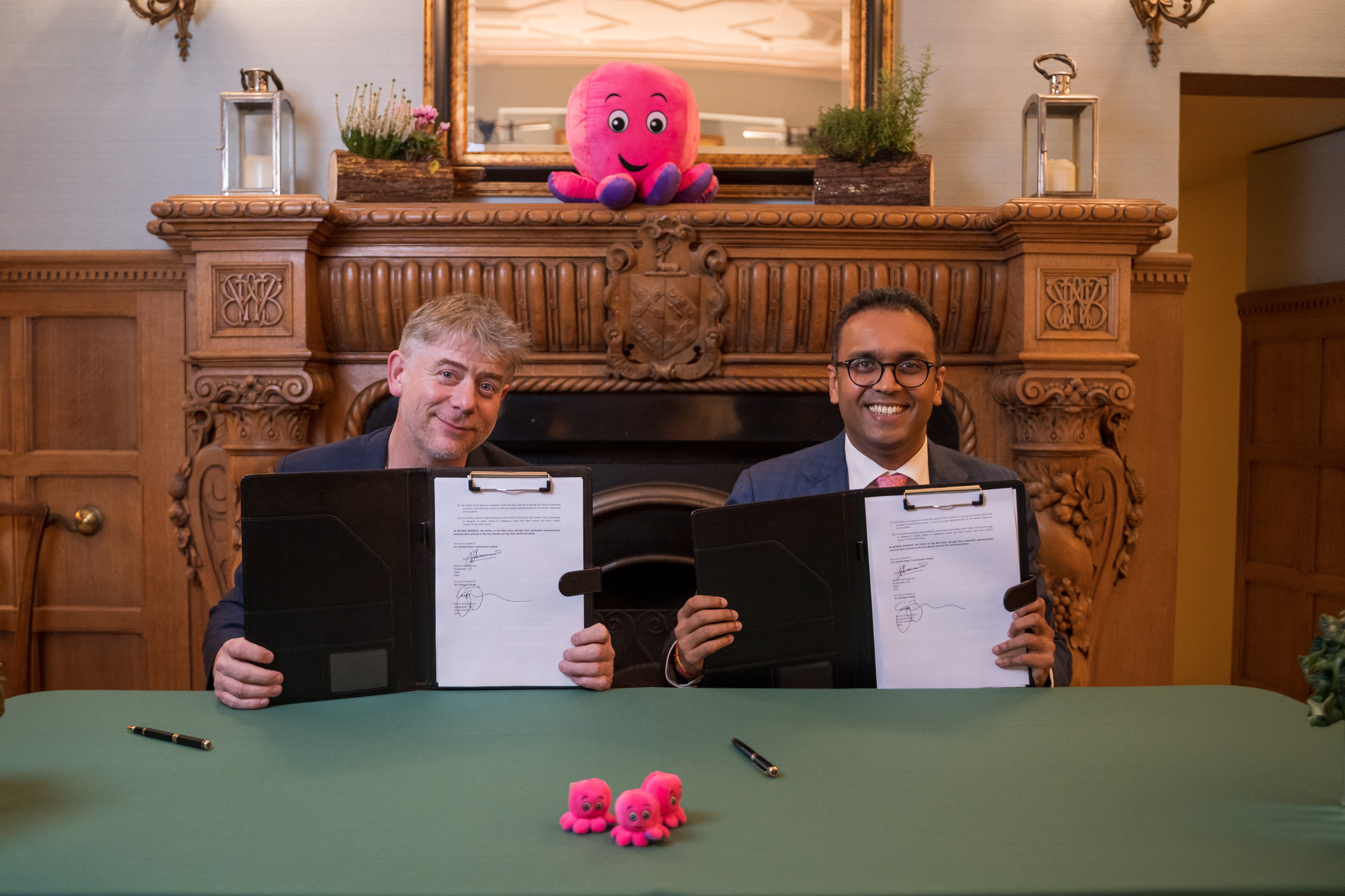 Octopus Energy and Sterlite Power team up to decarbonise India decoding=