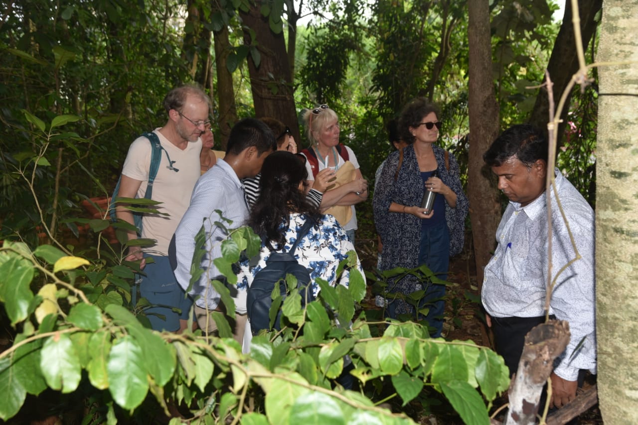 Ayurveda, the study of Indian herbs attract USA, UK, German, Australian Ayurveda Practitioners to India decoding=