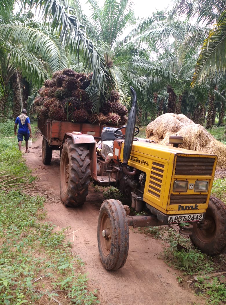 e2808b3f-oil-palm-company-introduces-more-transport-incentives-to-oil-palm-farmers