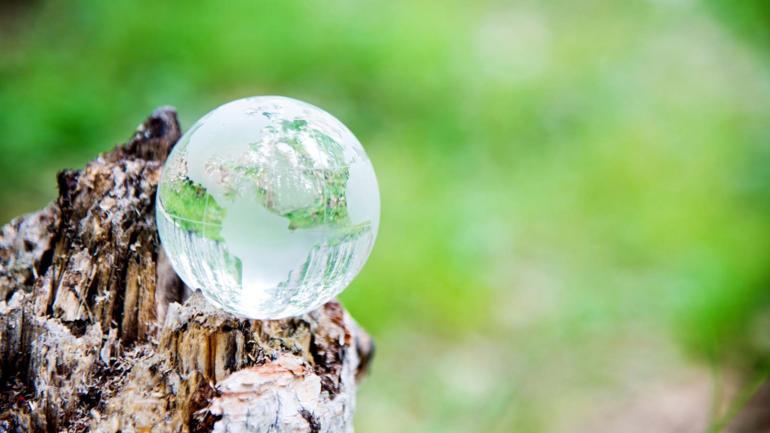 towards-a-healthy-planet-eco-friendly-cleaning-products