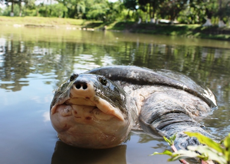 disney-grants-to-benefit-communities-and-wildlife-in-25-countries
