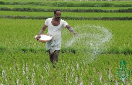COVID-19 RCF has ensured availability of Fertilizers to farming community decoding=