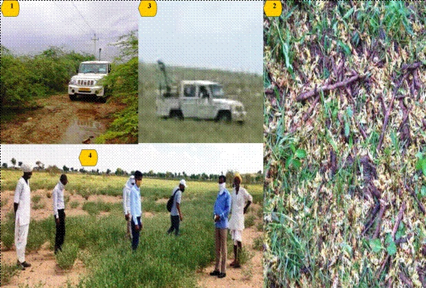 locust-control-operations-5-66-lakh-hectares-area-in-10-states-till-now