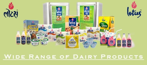 Lotus Dairy to promote Public Health by Offering Fortified Milk in Rajasthan decoding=
