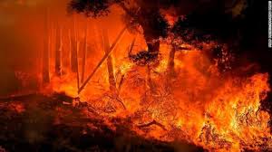 california-declares-state-wide-emergency-as-more-than-3000-fire-fighters-battle-raging-forest-fire