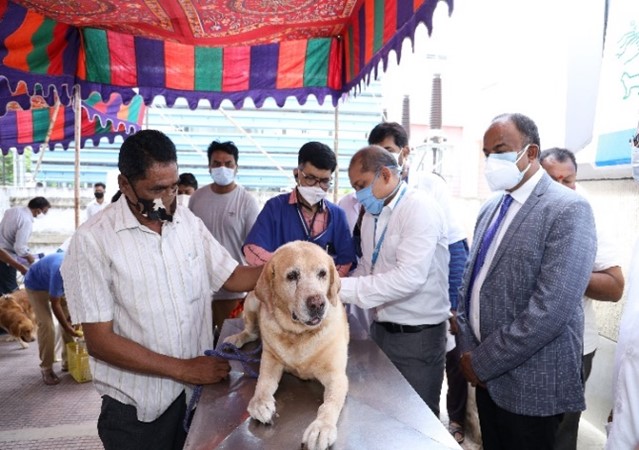 Indian Immunologicals administers 1 Lac FREE dosages of Anti-rabies vaccine on World Zoonosis Day 2021 decoding=