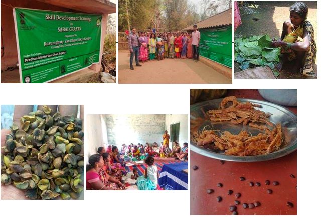 Benefiting the tribal livelihoods of Odisha through the Van Dhan Yojana decoding=