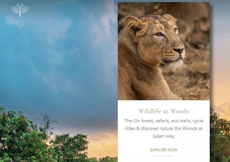 Woods at Sasan launches GAME INTO THE WILD: A unique package for forest & wildlife conservation decoding=
