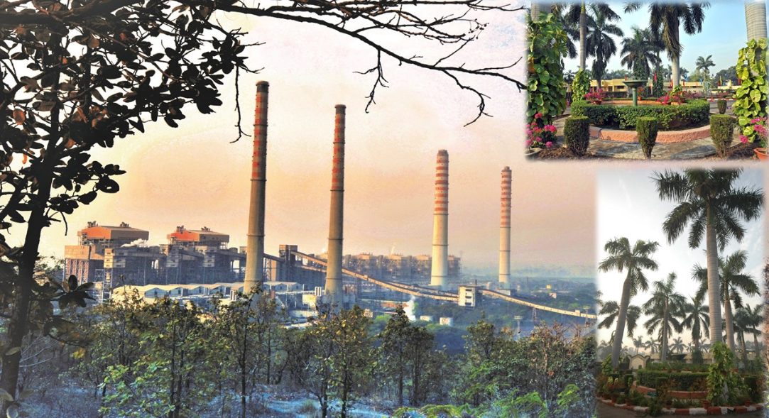 ntpc-first-unit-achieved-the-highest-plant-load-factor-plf-of-100-24-among-all-thermal-units-in-the-country
