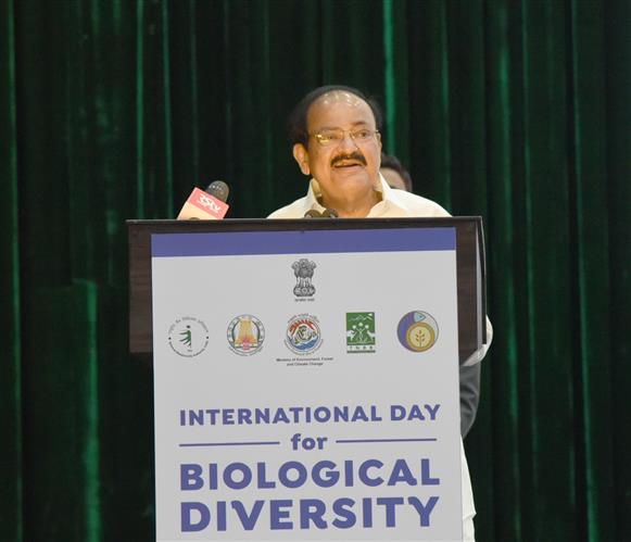 Vice President calls for equitable and people-centred sustainable development decoding=